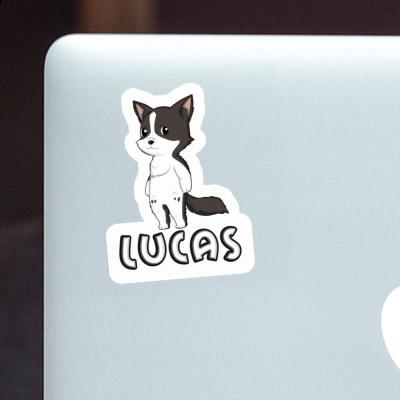 Sticker Border Collie Lucas Sticker Border Collie Lucas Image