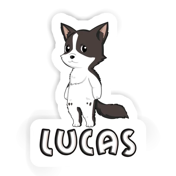 Sticker Border Collie Lucas Laptop Sticker Border Collie Lucas Laptop Image