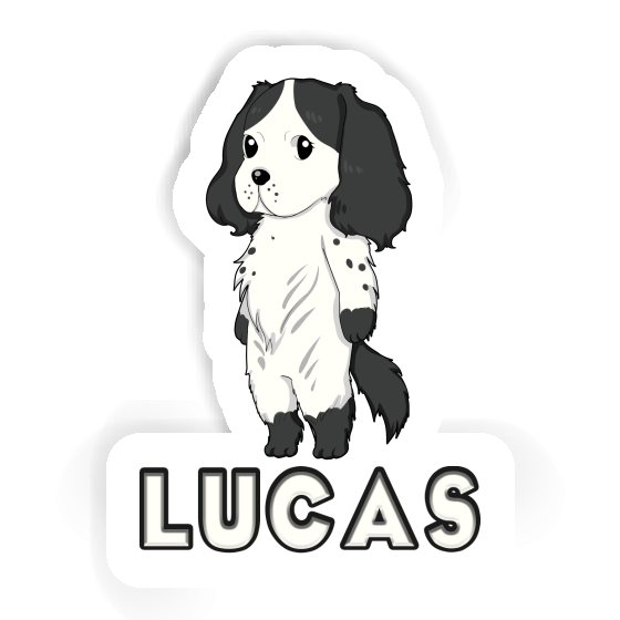 Sticker English Cocker Spaniel Lucas Notebook Sticker English Cocker Spaniel Lucas Gift package Image