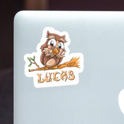 Lucas Autocollant Hibou Notebook Lucas Autocollant Hibou Gift package Image