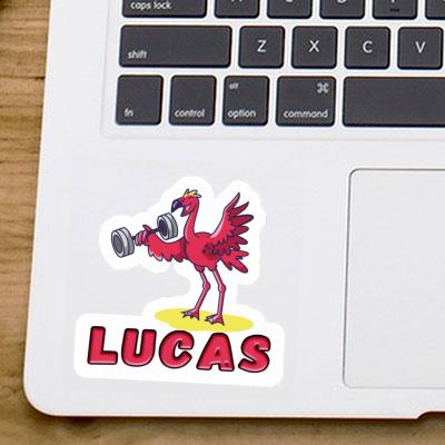 Lucas Sticker Weight Lifter Image