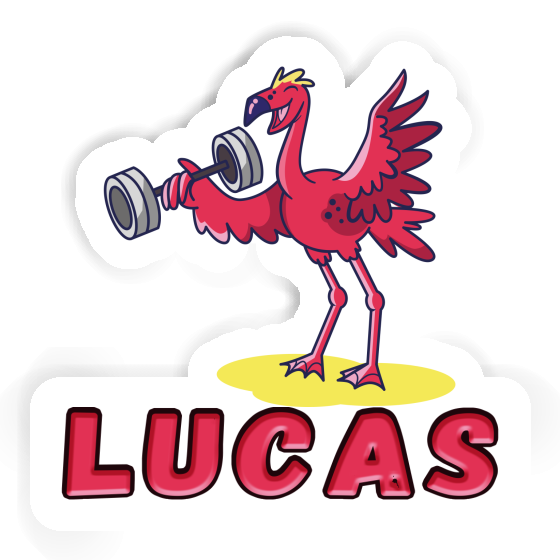 Autocollant Lucas Flamant Notebook Image
