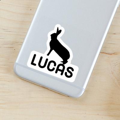 Rabbit Sticker Lucas Gift package Image