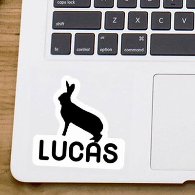 Hase Aufkleber Lucas Image