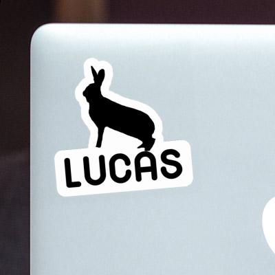 Rabbit Sticker Lucas Notebook Image