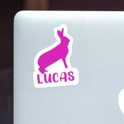 Sticker Kaninchen Lucas Gift package Image