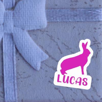 Rabbit Sticker Lucas Notebook Image