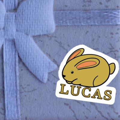 Aufkleber Lucas Hase Image