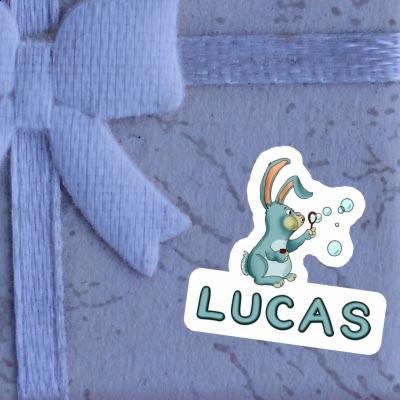 Autocollant Lapin Lucas Gift package Image