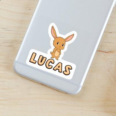 Autocollant Lapin Lucas Gift package Image