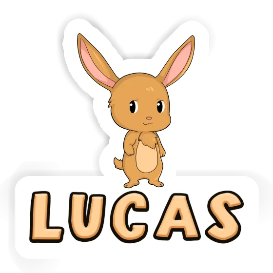 Lucas Sticker Rabbit Gift package Image