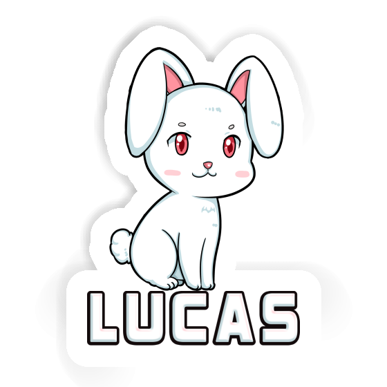 Autocollant Lucas Lapin Gift package Image