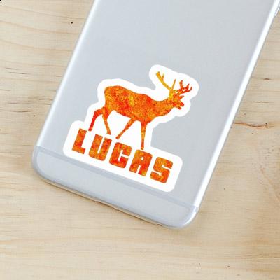 Cerf Autocollant Lucas Gift package Image