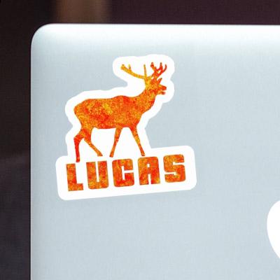 Cerf Autocollant Lucas Image
