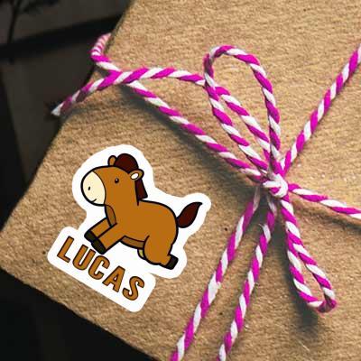 Lucas Sticker Horse Image