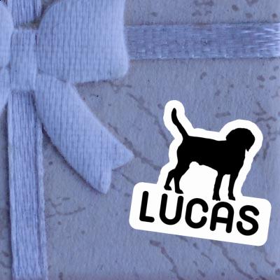 Autocollant Lucas Chien Gift package Image