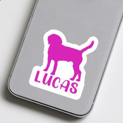 Autocollant Chien Lucas Notebook Image