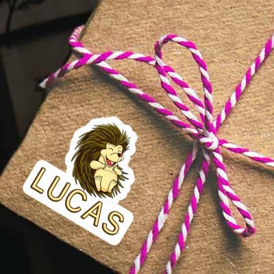 Sticker Hedgehog Lucas Gift package Image