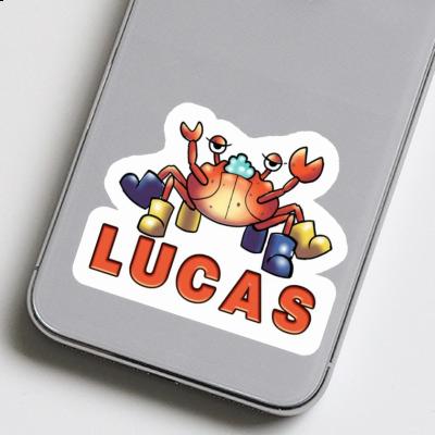 Lucas Autocollant Crabe Image