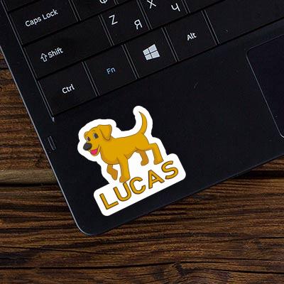 Autocollant Lucas Labrador Gift package Image