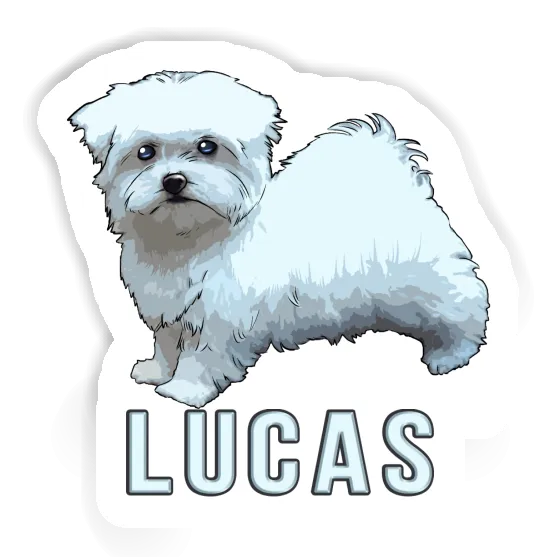Autocollant Lucas Chien Notebook Image