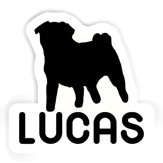 Autocollant Carlin Lucas Gift package Image