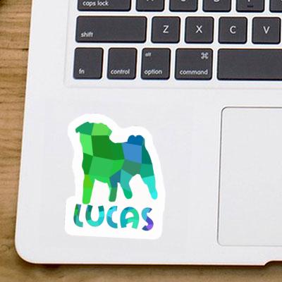 Autocollant Carlin Lucas Gift package Image