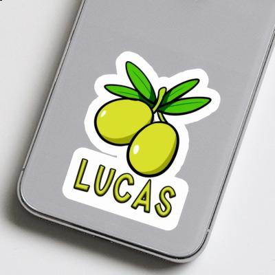 Lucas Sticker Olive Laptop Image