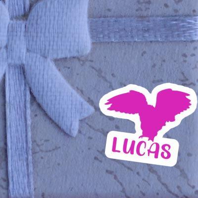 Autocollant Lucas Hibou Gift package Image