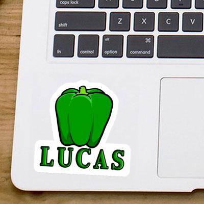 Paprika Sticker Lucas Laptop Image