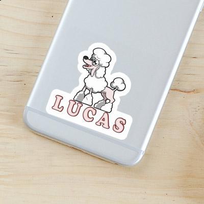 Caniche Autocollant Lucas Notebook Image