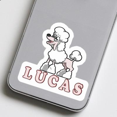 Aufkleber Pudel Lucas Image