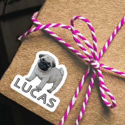 Autocollant Lucas Carlin Gift package Image