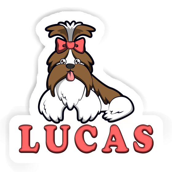 Sticker Shih Tzu Lucas Notebook Sticker Shih Tzu Lucas Gift package Image