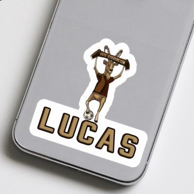 Steinbock Sticker Lucas Steinbock Sticker Lucas Image