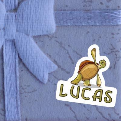 Lucas Sticker Yoga-Schildkröte Notebook Lucas Sticker Yoga-Schildkröte Gift package Image