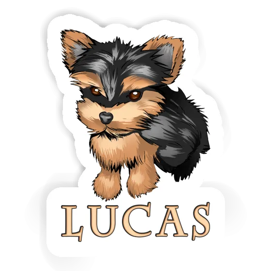Autocollant Yorkie Lucas Autocollant Yorkie Lucas Image