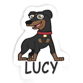 German Pinscher Sticker Lucy Image