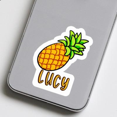 Lucy Sticker Pineapple Gift package Image