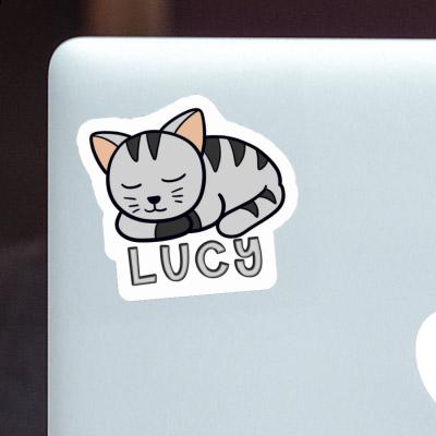 Cat Sticker Lucy Gift package Image