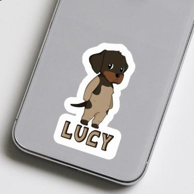 Sticker German Wirehaired Pointer Lucy Gift package Image