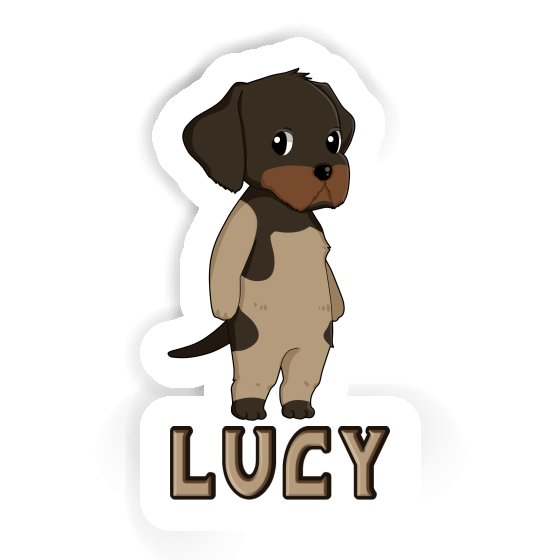 Sticker German Wirehaired Pointer Lucy Laptop Image