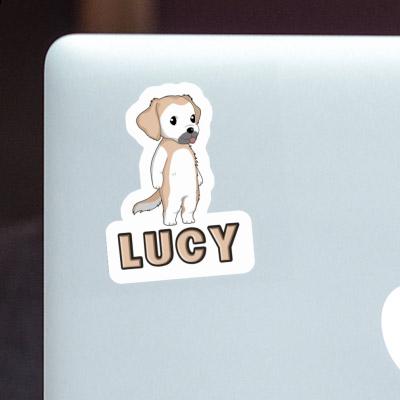 Autocollant Lucy Golden Retriever Laptop Image