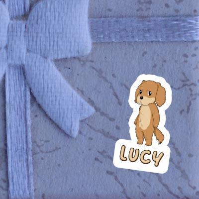 Autocollant Hovawart Lucy Gift package Image