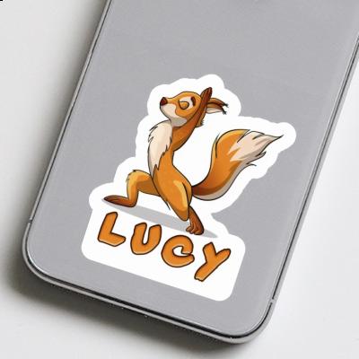 Lucy Sticker Yoga-Eichhörnchen Gift package Image