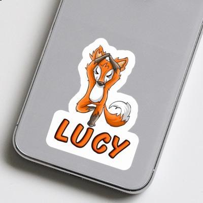 Autocollant Lucy Yogi Gift package Image