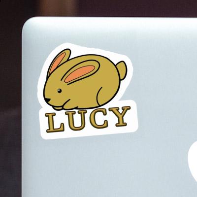 Autocollant Lucy Lapin Gift package Image