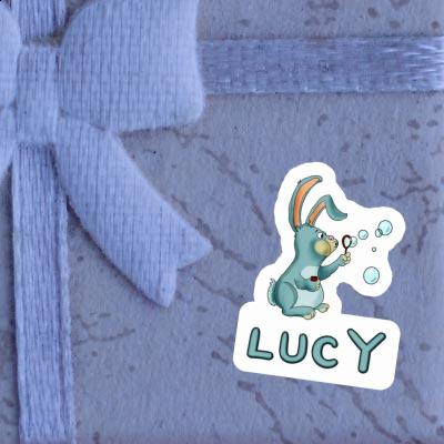 Lucy Autocollant Lapin Gift package Image