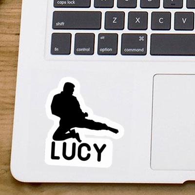 Karateka Sticker Lucy Gift package Image