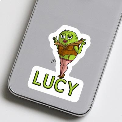 Lucy Sticker Kiwi Laptop Image